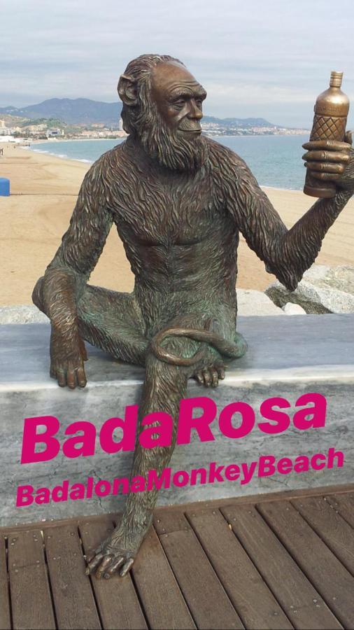 Badarosa 2 House10Min To Barceloncity&Nearto Beach 巴达洛纳 外观 照片